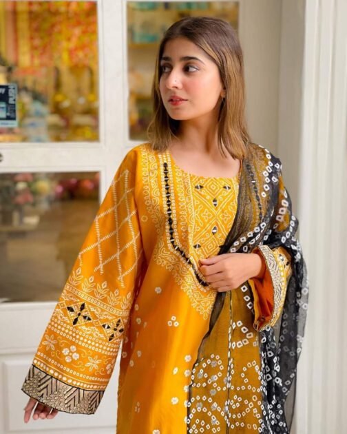 Stunning 3pcs Embroidery Chunri Silk Mirror Work Suit – Festive Elegance Redefined - Image 8