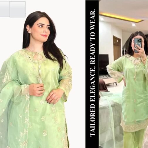 3pc Embroidery Mirror Work Organza Suit - Image 4