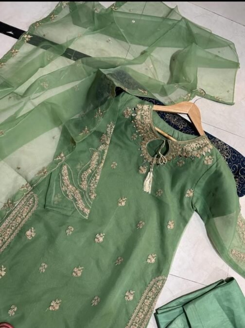 3pc Embroidery Mirror Work Organza Suit - Image 9