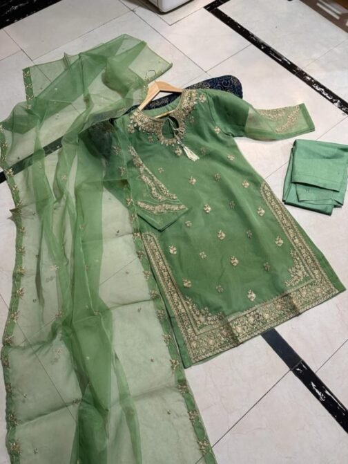 3pc Embroidery Mirror Work Organza Suit - Image 8