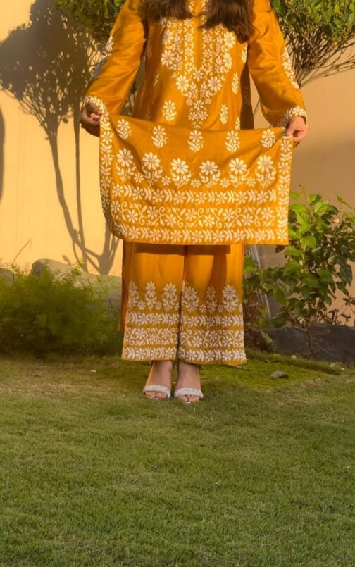 2pc Indian Chikankari (Embossed) Suit - Timeless Elegance - Image 19