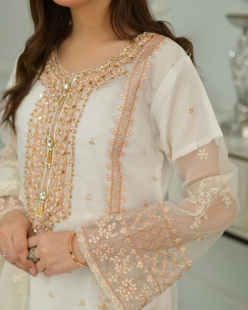 3pc Fancy Organza Embroidery Shirt - Elegant Pakistani Fashion - Image 14
