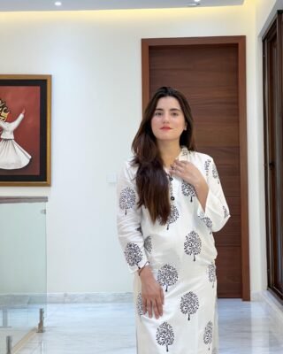 2 Pcs Women's Stitched Linen Printed Suit