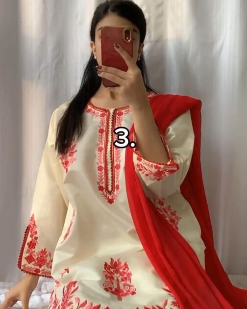 PAK LIBAS 2 PC MULTI KHADI NET SUIT - WINTER COLLECTION - Image 4