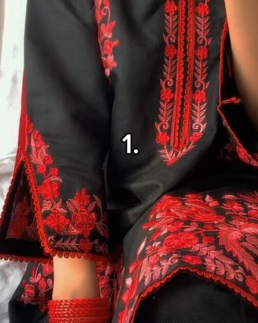 PAK LIBAS 2 PC MULTI KHADI NET SUIT - WINTER COLLECTION - Image 6