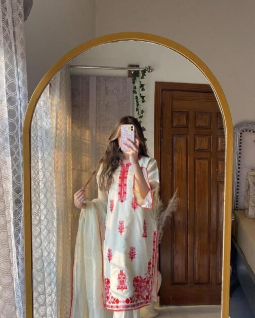 PAK LIBAS 2 PC MULTI KHADI NET SUIT - WINTER COLLECTION - Image 11