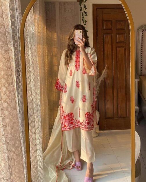 PAK LIBAS 2 PC MULTI KHADI NET SUIT - WINTER COLLECTION - Image 14