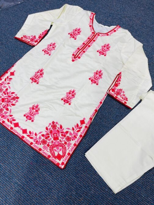 PAK LIBAS 2 PC MULTI KHADI NET SUIT - WINTER COLLECTION - Image 15
