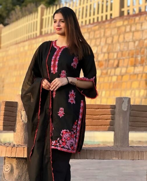 PAK LIBAS 2 PC MULTI KHADI NET SUIT - WINTER COLLECTION