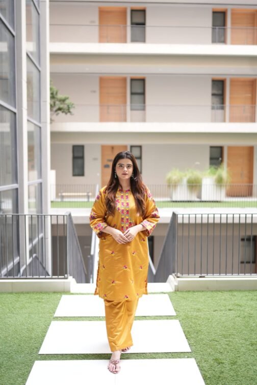 2pc Multi Khadi Net Suit – Exclusive Winter Collection 2024 - Image 5