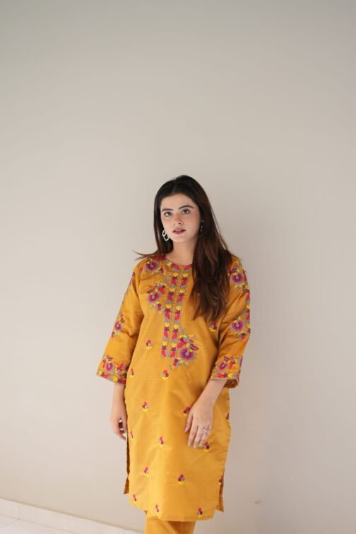 2pc Multi Khadi Net Suit – Exclusive Winter Collection 2024