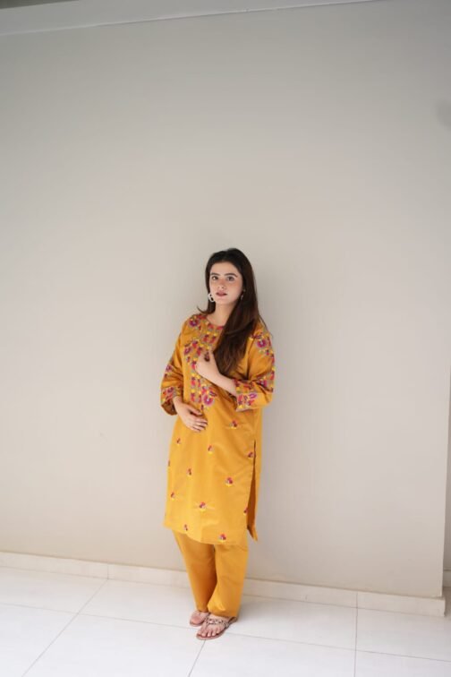 2pc Multi Khadi Net Suit – Exclusive Winter Collection 2024 - Image 3