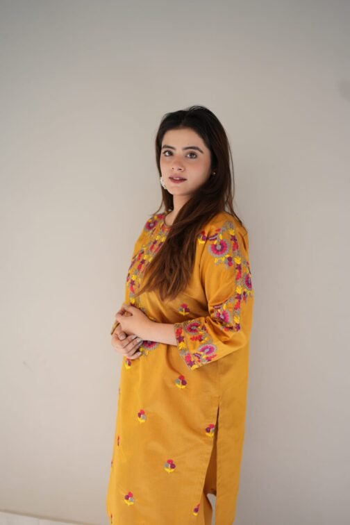 2pc Multi Khadi Net Suit – Exclusive Winter Collection 2024 - Image 2