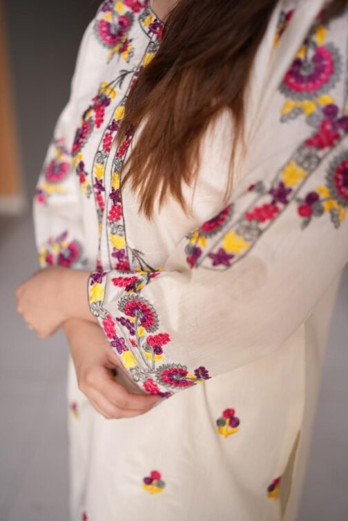 2pc Multi Khadi Net Suit - Exclusive Winter Collection 2024 - Image 3