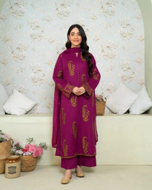 2pc Premium Linen Suit - Winter Collection 2024 | Soft & Elegant - Image 4