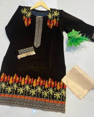 2PC Champion Premium Velvet Stitched Suit - Latest Winter Collection for Women
