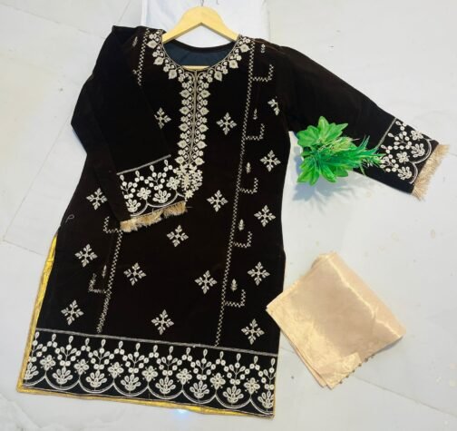 2PC Champion Premium Velvet Stitched Suit – Latest Winter Collection for Women