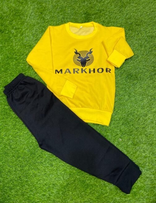 2 Pcs Fleece Printed Tracksuit Set for Kids - Image 2