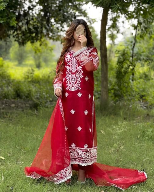 Eid Collection 3pc Organza Embroidered Suit | Safinaa