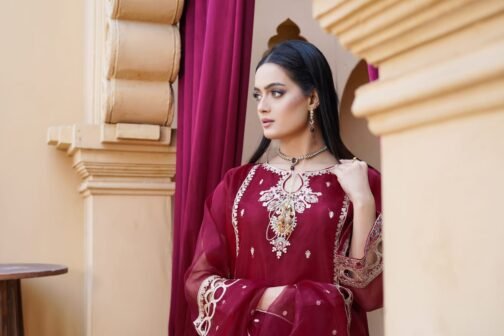 3PC Organza Boring Embroidery Suit | Ramzan Sale | Eid Collection - Image 3