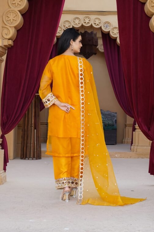 3PC Organza Boring Embroidery Suit | Ramzan Sale | Eid Collection - Image 2