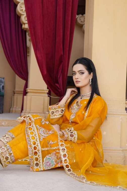 3PC Organza Boring Embroidery Suit | Ramzan Sale | Eid Collection - Image 4