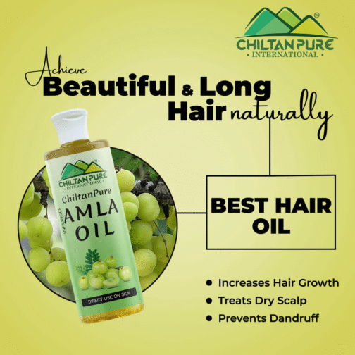 Chiltan Pure Amla Oil – Ultimate Hair Revitalizer for Stronger, Shinier Hair - Image 6