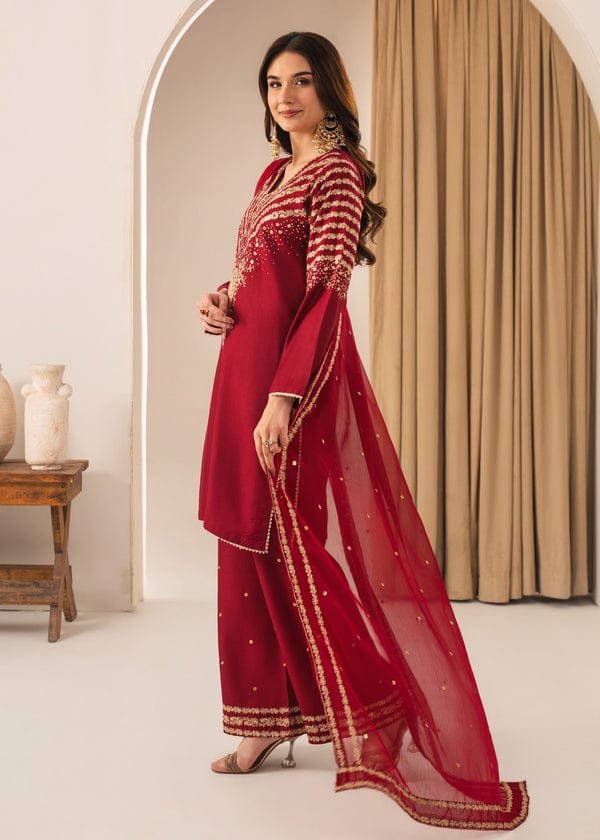 Exclusive Mehroon Peacock 3PC Stone Linen – Fast Delivery - Image 7