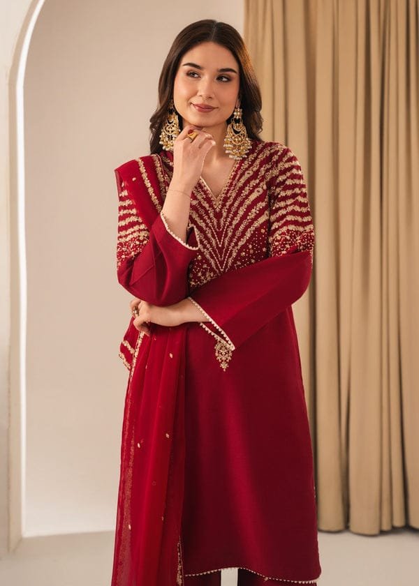 Exclusive Mehroon Peacock 3PC Stone Linen – Fast Delivery - Image 4