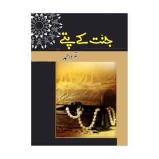 Jannat Kay Pattey Original Novel by Nimra Ahmed - M K Shopping Hub.