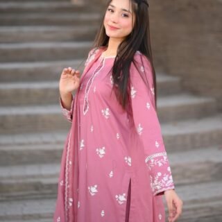 NAZNEEN embroidery 3PC cotton lawn suit embroidered shirt chiffon dupatta elegant women dress Pakistan