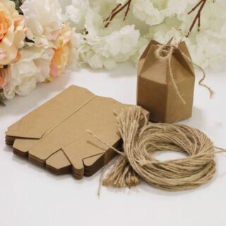 Brown kraft paper gift bags for birthday party