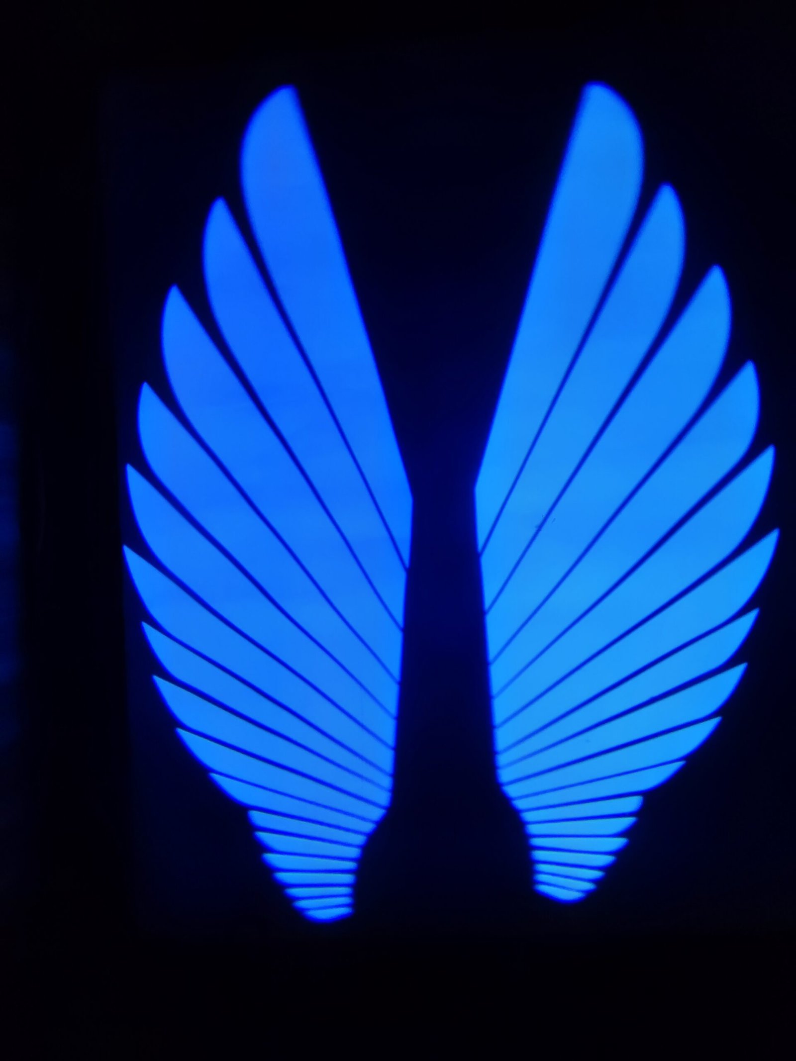 Angel Wings LED Bike Light Blue for Motorcycle 2 Angel Wings LED Bike Light Blue for Motorcycle - Image 2