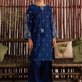 Amber Embroidery 2PC premium lawn Farshi suit